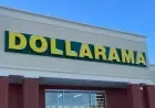 Top 19 Dollarama Finds and New Arrivals This Month
