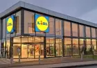 m5 and Lidl: Expansion plans sharpen focus on motorway-linked sites in early 2026
