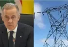 Ottawa to Unveil Draft of National Electricity Strategy