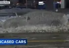 Philadelphia Woman Discovers Car Encased in Ice After Pipe Burst on Front Street