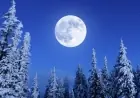 Full moon February 2026 Snow Moon peaks Feb. 1, lighting up winter skies