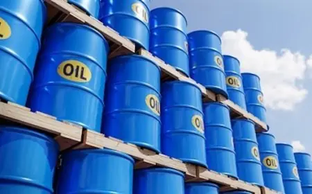 أسعار النفط تسجل خسائر تقارب 20٪ في نهاية عام 2025