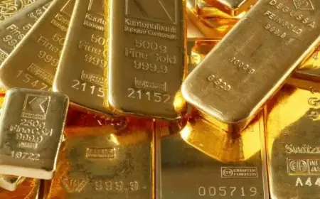 تعرف على توقعات مجلس الذهب العالمي لأسعار الذهب في 2026 التفاصيل الكاملة