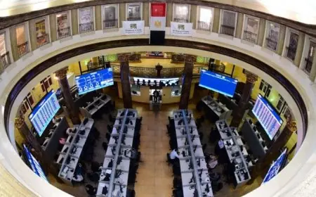 مصر تتصدر البورصات الأفريقية بأكبر عدد من الشركات المدرجة