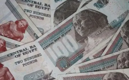 البنك الأهلي يطلق عام 2026 بخفض أسعار الفائدة على حسابات التوفير