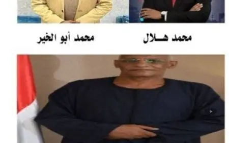 المنصراوي وهلال وأبو الخير يظفرون بمقاعد دوائر أسوان في جولة الإعادة الحاسمة