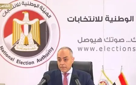 بنداري يثني على وعي المصريين بعد 99 يومًا من العمل المتواصل في أطول انتخابات برلمانية