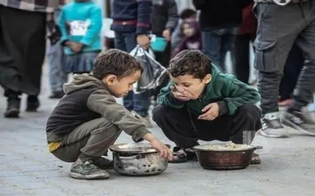 ألمانيا تواصل تقديم المساعدات الإنسانية للوضع الصعب في قطاع غزة