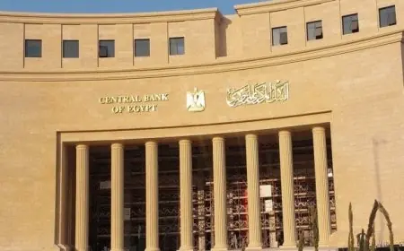 البنك المركزي يعلن زيادة احتياطيات النقد الأجنبي إلى 51.45 مليار دولار بحلول نهاية 2025
