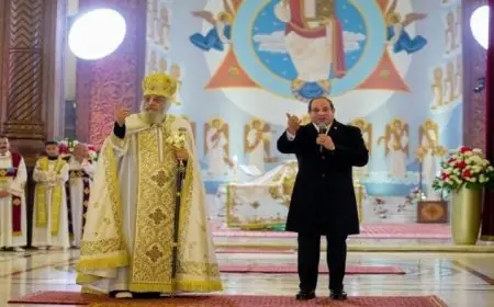 إشادة الأحزاب السياسية برسائل السيسي في عيد الميلاد تؤكد أهمية المواطنة ووحدة الصف لحماية الدولة