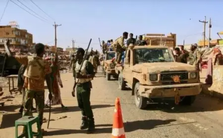 الجيش السوداني يستعيد السيطرة على منطقة أم قليب في شمال كردفان