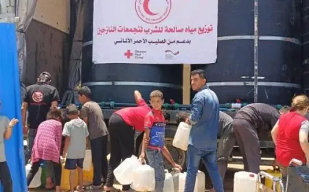 الصليب الأحمر الألماني يصف أوضاع الإمدادات في قطاع غزة بالمروعة بسبب فصل الشتاء