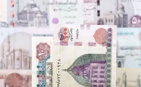 اكتشف الشهادات الادخارية في بنك مصر والبنك الأهلي بأسعار تبدأ من ألف جنيه