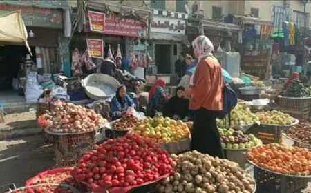 استقرار معدل التضخم السنوي في المدن المصرية عند 12.3% خلال ديسمبر 2025