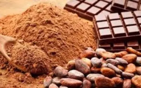 انخفاض رهيب في أسعار الكاكاو مع تزايد ضغوط البيع المكثف