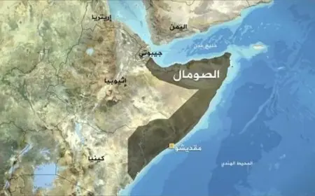 وزير الخارجية الصومالي يؤكد عدم قانونية مزاعم إسرائيل حول أرض الصومال