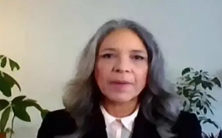 العضو الجمهوري الأمريكي: إسرائيل تهدف لنزع سلاح حزب الله وتكرار سيناريو سوريا