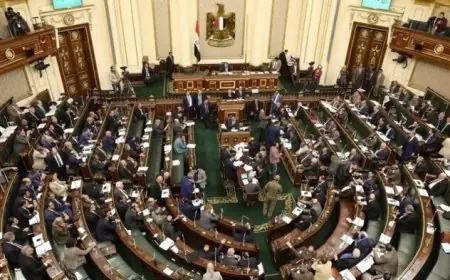 تعرف على الأعضاء المعينين في مجلس النواب وأبرز المرشحين لرئاسة المجلس في الفصل التشريعي الجديد