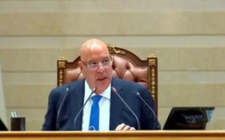 رئيس النواب يؤكد: القيادة السياسية تدعو لتعزيز الديمقراطية الحقيقية والمجلس مطالب بتحقيق طموحات الشعب من خلال الجهود الجادة