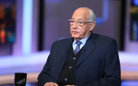 علي الدين هلال يعلن رفض الأحزاب الكبرى لتغيير النظام الانتخابي بعد مناقشته في الحوار الوطني