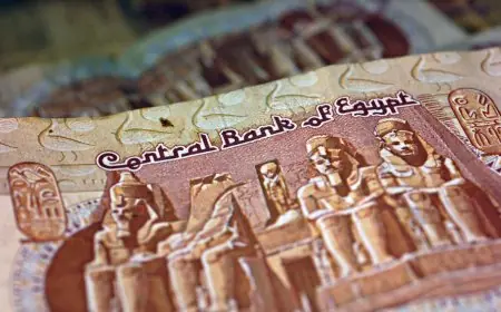 علي الدين هلال: تحويلات المصريين بالخارج تعزز تعافي الجنيه المصري أمام الدولار