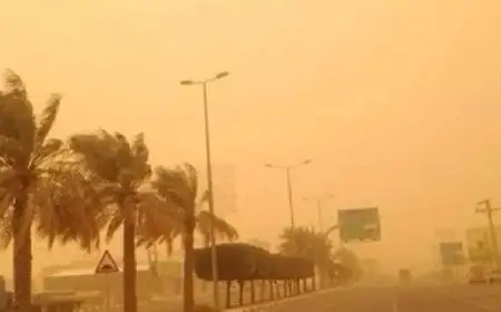 العاصفة الترابية: الأرصاد تتوقع استمرار الطقس غير المستقر حتى منتصف الأسبوع المقبل