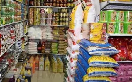 انخفاض أسعار السلع وتحديات الفئات المتضررة كما يوضح علي الدين هلال