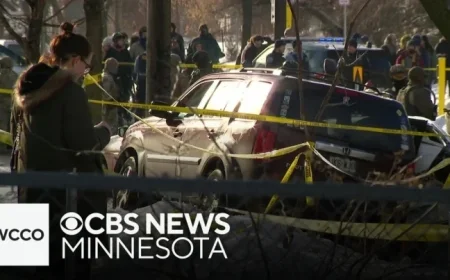 Was Renee Good Rightly Labeled a Domestic Terrorist by Trump Administration?