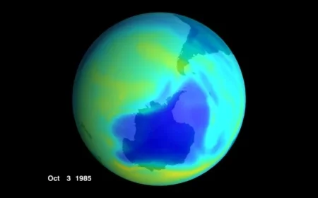 Scientists Save Ozone Layer: A Short Wave NPR Report