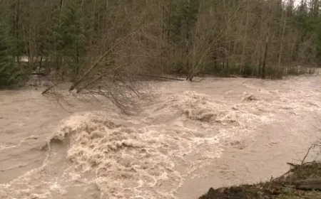 Fraser Valley, Vancouver Island Face Evacuations as Atmospheric River Hits