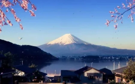 1News Reports Scott Robertson Set to be Dismissed as All Blacks Coach