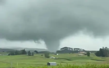 Tornado Strikes Ōtorohanga Amid Auckland Thunderstorm Alert