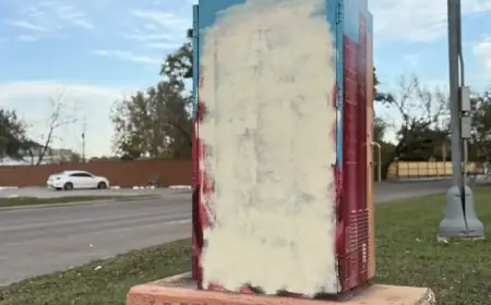 Malala Yousafzai Mural Vandalized Again in Houston’s Heights Neighborhood