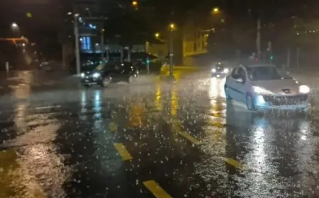 Forecast: Halifax Could See Up to 50mm of Rain, Warns Environment Canada