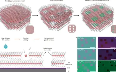 Exploring Mosaic Lateral Heterostructures in 2D Perovskite Materials