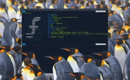 A Year on Linux Erased My Longing for Windows