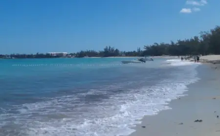 Mayaguana Port Development Driven by Bahamas Cruise Boom