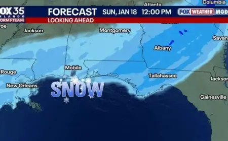 Florida Snow Forecast: Likelihood, Locations, and Timing Explained