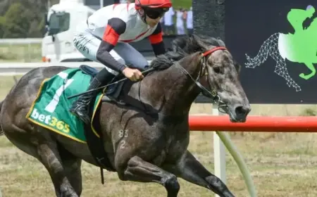 Country Galloper Tackles Flemington Test for Derby Chance