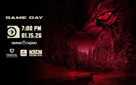 Wild Battle Jets: Game Preview