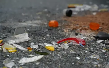 Fatal Traffic Crash Strikes Bajool