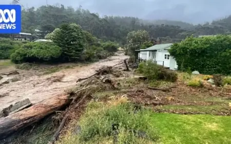 Intensified Rainfall Events Surge as Global Temperatures Rise