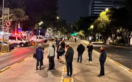 Earthquake Shakes CDMX: Preliminary 5.2 Magnitude, Epicenter in Guerrero