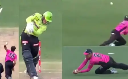 Moises Henriques’ Stunning Catch Removes Matthew Gilkes in BBL|15