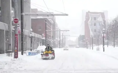 Toronto Weather Forces Closures and Cancellations: Complete List