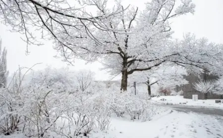 Heavy Snowfall Shuts Down McMaster on January 15