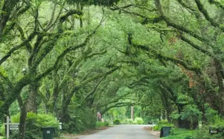 Explore 12 Alabama Towns: A Month-by-Month Travel Guide for 2026