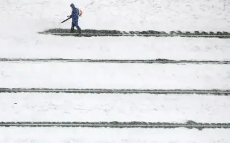 Weather Forecast: Patriots vs. Texans NFL Divisional Playoff Game