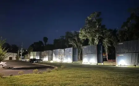 Tallahassee’s Largest Mural at SoMo Walls Secures Funding Approval