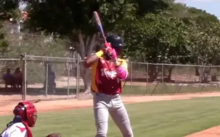 Comprehensive Analysis of All 30 MLB International Signing Classes for 2026